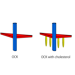 File:Todai Cholesterol.png
