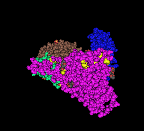 File:AV-MA-s9-spacefill-majormutations.png