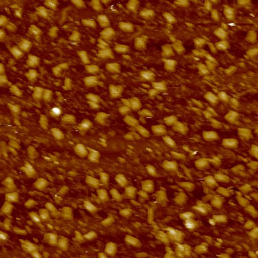 File:2012 8 2 1um gttTH2Rib5ab 2pot.jpg