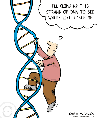 File:Gene-dna-climb.gif