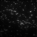 File:NBgamers Home 6.png