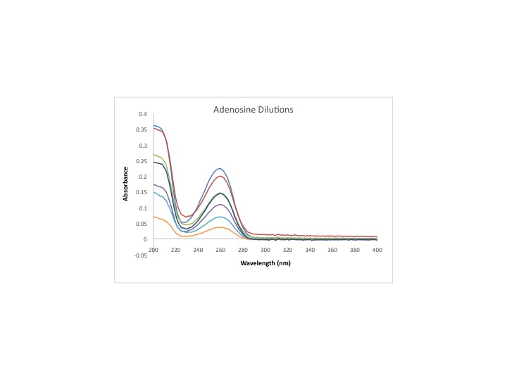File:Adenosine1 9 3 2013 cmj.jpg