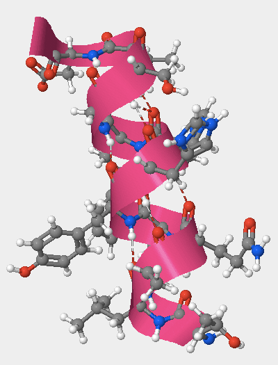 An alpha helix created by amino acids 105-117.