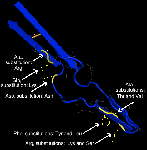 Shows the six proteins studied from the AIDS diagnosed patients.
