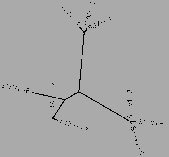 Rapid Progressor Visit 1 Tree