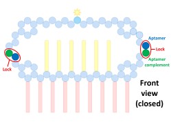 File:BM12 nanosaurs 5 locks front s.jpg