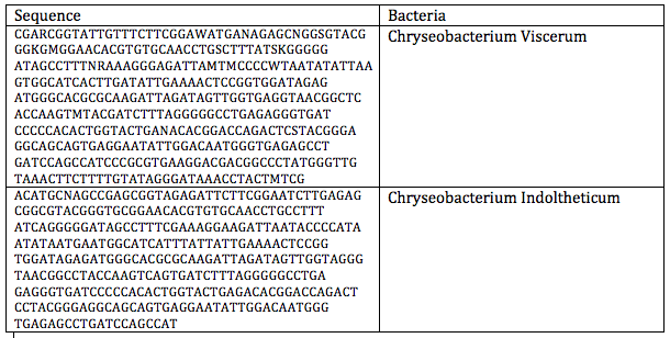 File:Bacteria PCR Table.png