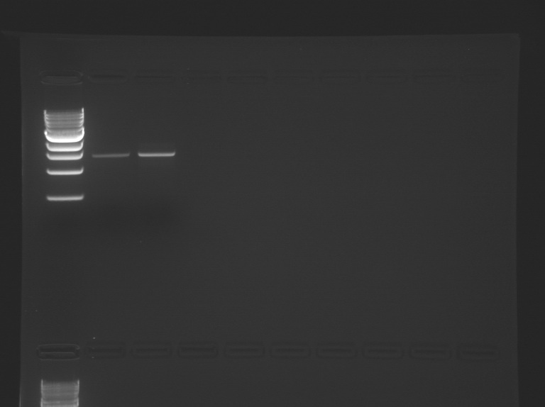 File:S14-M1D4 WF-Sil-HI.jpg