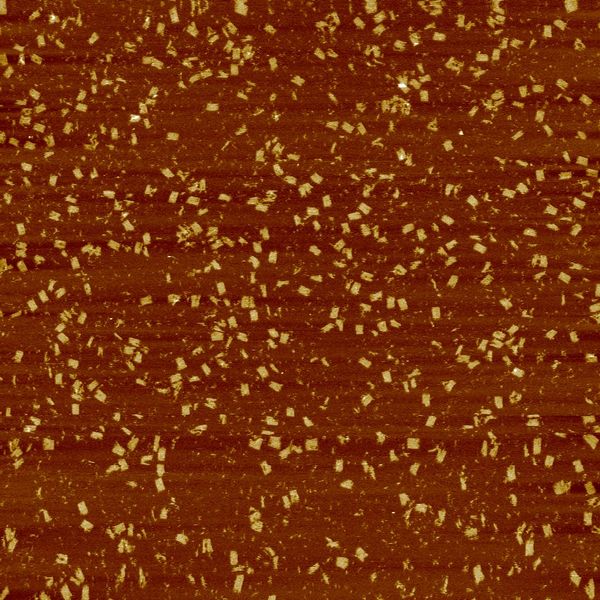 File:2012 7 30 2um ttTH2Rib5a 2pot.jpg