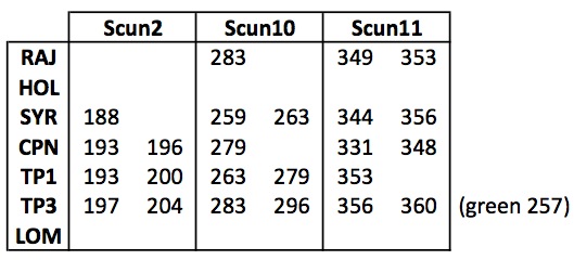 File:20110701 FragScores.jpg