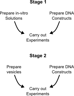 File:ICGEMS ves exp stages.png