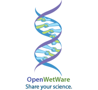 OpenWetWare:Steering committee
