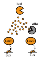 Fig.4 Chiba project design.jpg