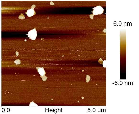 File:HKBU 2013 Oct03s4.jpg