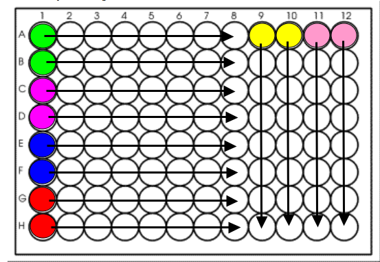 RT-PCR 96 well plate