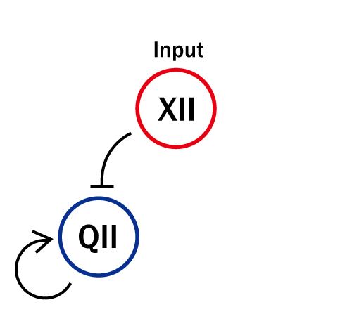 The Concept of the Experiment of QII