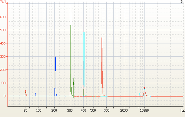 File:BMC pippinTest1a.png