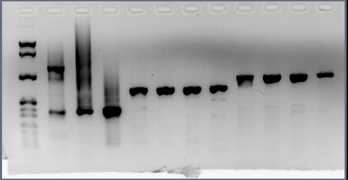 File:Ulab304 2008-07-29 11hr 36min.jpg