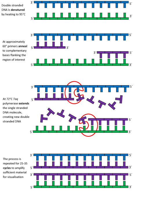 Description of image