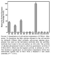 File:Fig3 Kawaguchi 2008.jpg