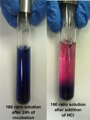 File:15feb-Fibers solution.png