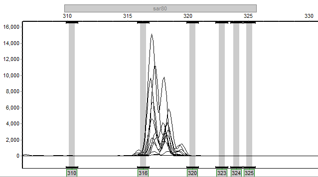 File:20120330 sar80.png