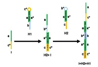File:2014-EchiDNA-LAB-BOOK-APPLICATION-shit Fig2.png