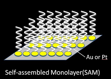 File:Nano-jugglers Thiol.jpg