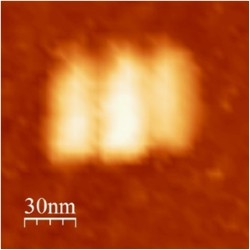 File:BM12 nanosaurs AFM Closed single s.jpg
