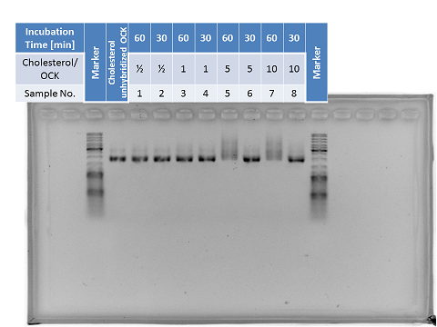 File:480px OCKchol-Todai.png