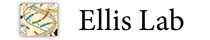 File:EllisStrip.jpg