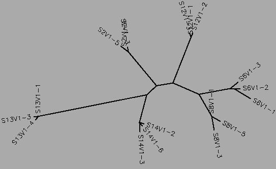 Moderate Progressor and Nonprogressor Visit 1 Tree