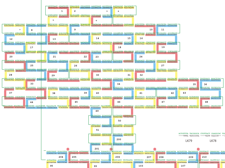 File:Illustration of The Tortois.png