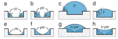 File:Side-views of Wetting Morphologies.png