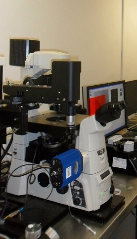 File:HKBU 2013 AFM.jpg