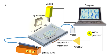 File:Acoustic apparatus.png