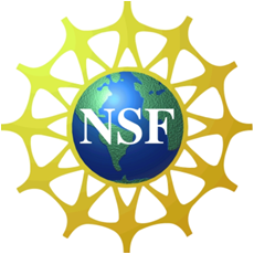File:NSF.png