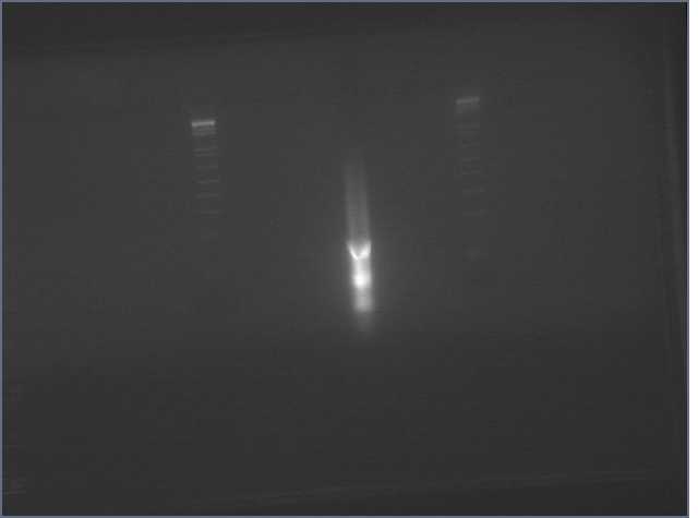 File:2010-07-21 13hr 45min.jpg