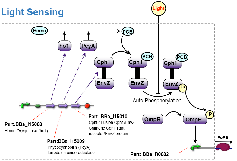 File:ETH Red Light Sensor.png