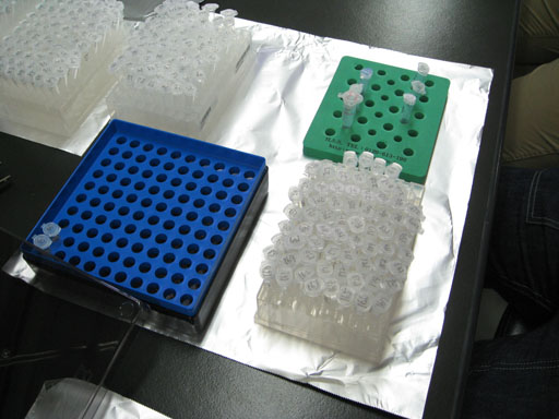File:Experiment-2.jpg