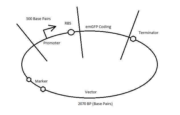 What we are building