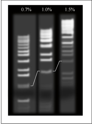 File:Mod1 2cncntrtn ba.jpg