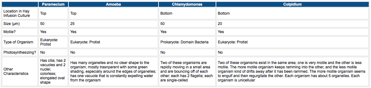 Table of Organisms in the Hay Infusion Culture