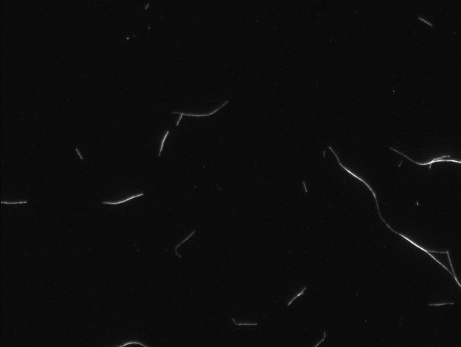 File:2010 03 16-20%.png