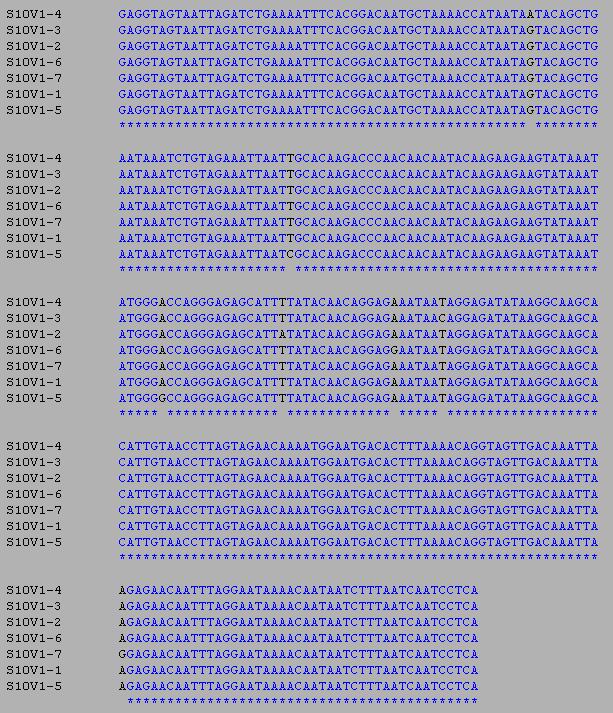 Subject 10 Alignment