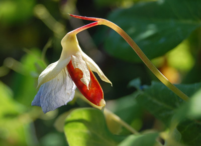 File:2984601276 008e8b9f47 o.jpg