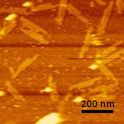 File:Convex dna origami.jpg