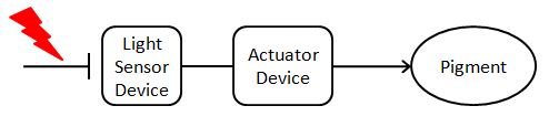 Capture_bacterial_photography_device_diagram.JPG