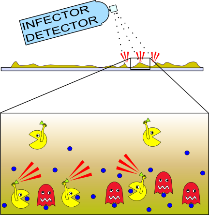 File:IC07 biofilm.png