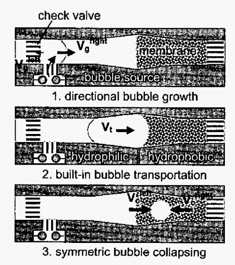 File:Bubbleformation.png
